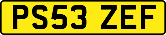 PS53ZEF