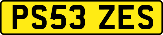 PS53ZES