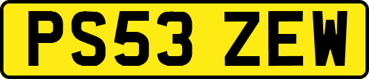 PS53ZEW