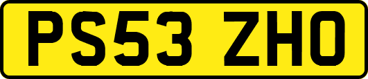PS53ZHO