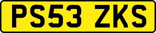 PS53ZKS
