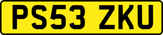 PS53ZKU