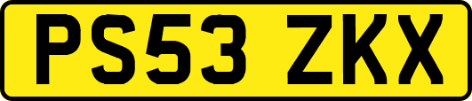 PS53ZKX