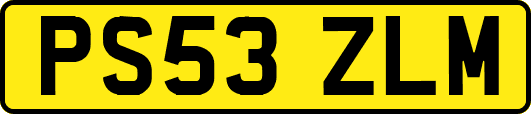 PS53ZLM