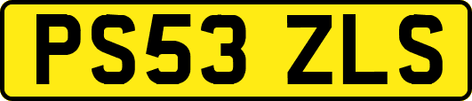 PS53ZLS