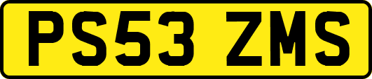PS53ZMS