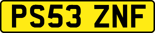 PS53ZNF