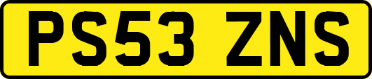 PS53ZNS