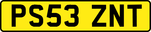 PS53ZNT
