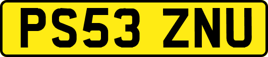 PS53ZNU