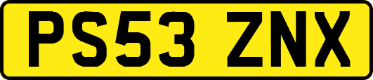 PS53ZNX
