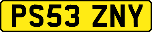 PS53ZNY