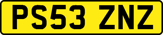 PS53ZNZ