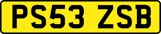 PS53ZSB