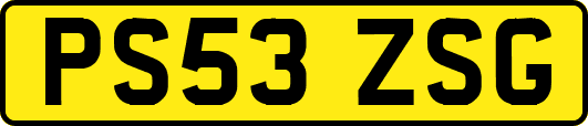 PS53ZSG