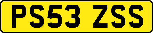 PS53ZSS