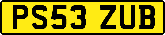 PS53ZUB