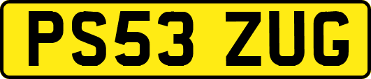 PS53ZUG