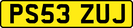PS53ZUJ
