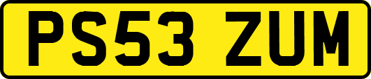 PS53ZUM