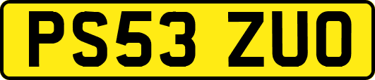 PS53ZUO