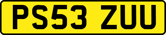 PS53ZUU