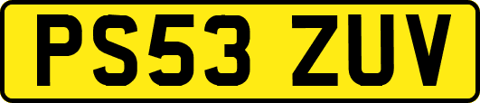 PS53ZUV
