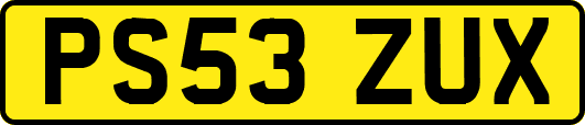 PS53ZUX