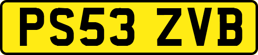 PS53ZVB