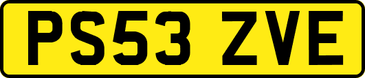 PS53ZVE