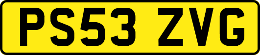 PS53ZVG