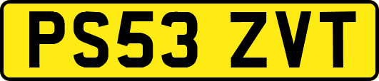 PS53ZVT