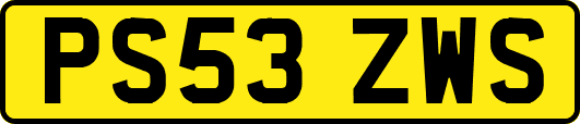 PS53ZWS