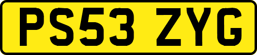PS53ZYG