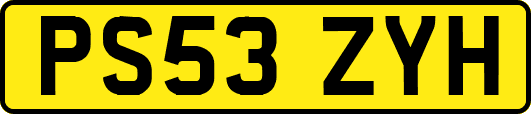 PS53ZYH