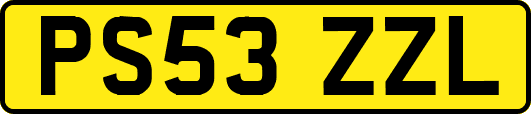 PS53ZZL