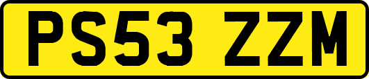 PS53ZZM