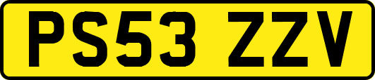 PS53ZZV