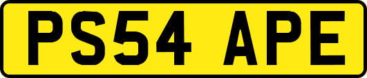 PS54APE