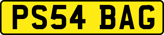 PS54BAG
