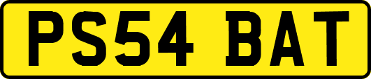 PS54BAT