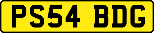 PS54BDG