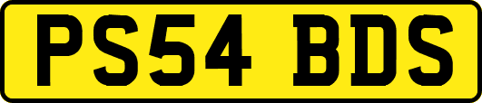 PS54BDS