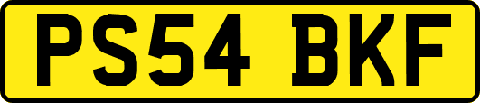 PS54BKF