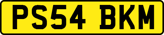 PS54BKM