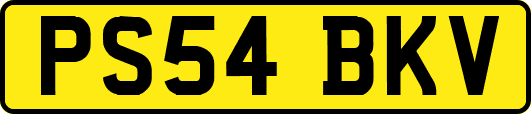 PS54BKV