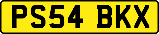 PS54BKX