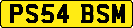 PS54BSM