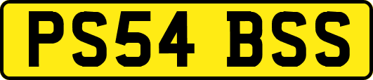 PS54BSS