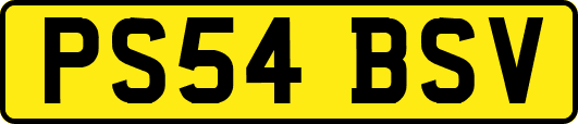 PS54BSV
